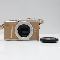 2024年最新】オリンパス OLYMPUS PEN E-PL9 ミラーレス一眼カメラ ...