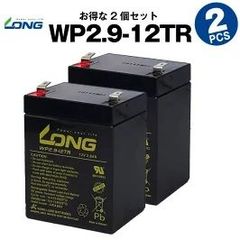 WP2.9-12TR 【2個セット】 （産業用鉛蓄電池） 【サイクルバッテリー】 LONG