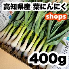 高知県特産‼️葉ニンニク 400g 即購入OK