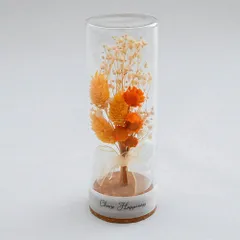 ☆ イエロー ☆ ドライフラワー コルクボトル ドライフラワー ガラス ボトルフラワー コルクボトル 55 フラワーアレンジメント ガラスボトル プリザーブドフラワー フラワーギフト オブジェ 置物 置き物 お花 花 おしゃれ ギフト お祝い 誕生日 敬老の日