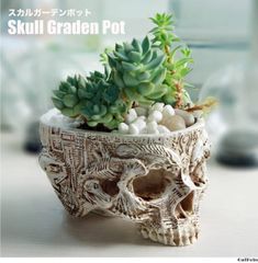 スカル プランター 多肉植物 盆栽 観葉植物 花 ガイコツ 骸骨 おしゃれ 植木
