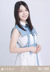 【中古】生写真(乃木坂46) 阪口珠美/上半身/「思い出が止まらなくなる」WebShop 限定ランダム生写真