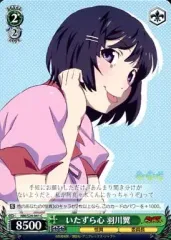 【絶版】 偽物語 ヴァイスシュヴァルツ 9パック 2025年最新】偽物語 ヴァイスの人気アイテム - メルカリ