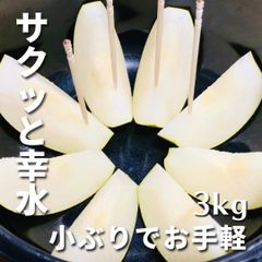 【サクッとお試し】梨 幸水 小ぶり サイズ約7cm 合計約3kg ☆送料無料☆ なし