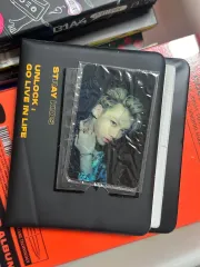 Stray Kids(ストレイキッズ・スキズ・SKZ) Straykids felix フィリックス(FELIX・ヨンボク) トレカ バインダー コレクトブック