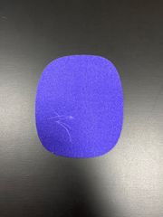 Item thumbnail for item ecff5d24-d2b3-4ae0-89da-5d201bb74235