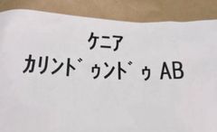 生豆800g限定1セット　ケニア　カリンドゥンドゥ　AB