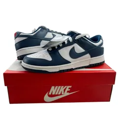 Nike Dunk Low Valerian Blue DD1391-400 ナイキ ダンク ロー バレリアンブルー 27.5cm 新品未使用