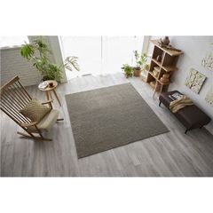 スミノエ ラグ 200×300cm グレージュ 美品 送料込み - メルカリ