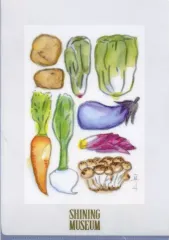 【中古】クリアファイル 聖川真斗 SHINING MUSEUM A4クリアファイル 「うたの☆プリンスさまっ♪」