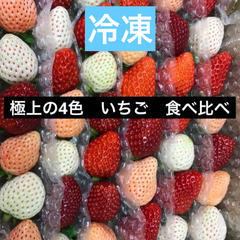 いちご 苺 4色食べ比べ  冷凍  1.5キロ