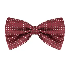 Allegra K ワンタッチ蝶ネクタイ 水玉模様 子供 大人 蝶ネクタイ フォーマル パーティー 卒業 ビジネス レッドホワイト One Size