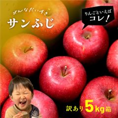 1月15日から1月中発送分「サンふじ5キロ箱訳あり品」農林水産大臣賞 訳あり りんご サンふじ ふじ 長野県産 安曇野 信州産 産地直送 送料無料 5キロ 箱使用 果物 フルーツ 鮮度抜群 産地直送