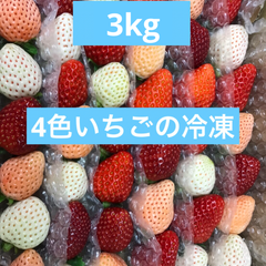 残りわずか！！　いちご  苺  4色  食べ比べ　冷凍    3kg