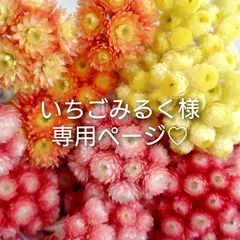 いちごみるく様専用ページです♡