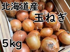 玉ねぎ　愛媛県産　5㎏　常備野菜　野菜　食卓には欠かせない　農家　送料無料