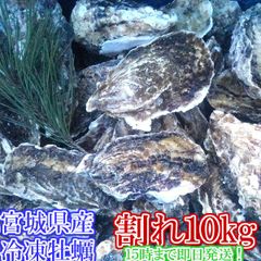 特大牡蠣殻 広島県産 9キロ 水槽用ろ過材 園芸 - メルカリ