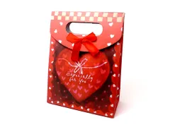 プレゼント用 手提げ袋 紙袋 ギフト包装 ラッピング ラッピング材 プレゼント ギフトバッグ 梱包 梱包用 梱包材 包装材