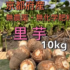 農家直送！里芋10キロ(箱込み)〜ねっとりおいしい〜京都府産農薬
