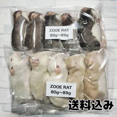 爬虫類のエサ　国産冷凍ラット　80g 90g 10匹　個包装
