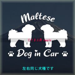 マルチーズの同犬種わんちゃんステッカーDOG in CAR