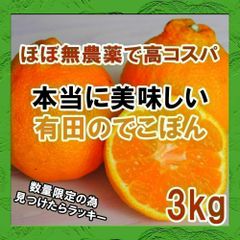 コスパ最高！ほぼ無農薬(減農薬)ご家庭用デコポン　有田の不知火 3kg