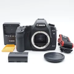 2023年最新】eos 5d mark ii ボディの人気アイテム - メルカリ