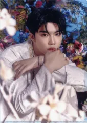 【中古】クリアファイル パク・ゴヌク(ZEROBASEONE) オリジナル・A4クリアファイル 「CD ゆらゆら -運命の花-」 Sony Music Shop購入特典