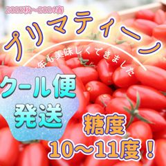 プリマティーノ フルーツトマト 1kg 糖度10-12度 - メルカリ