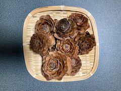 Item thumbnail for item 18ab8e18-b1e6-4693-87bf-de660bccbaed