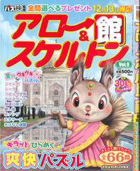 ★在庫一掃セール★アロー＆スケルトン館　Vol.9