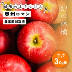 「奥州ロマン3キロA品B品ミックス」蜂蜜のような甘さ 幻の林檎 農林水産大臣賞 りんご 長野県産 安曇野 信州産 産地直送 送料無料 3キロ 箱使用 果物 フルーツ 鮮度抜群 産地直送 超希少品種