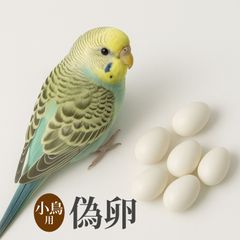偽卵 6個入り 約20mm×13mm 小鳥 インコ 鳩 文鳥 すり替え 卵 擬卵　定形外発送