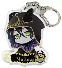 【中古】食玩 雑貨 マレウス・ドラコニア 「ディズニー ツイステッドワンダーランド アクリルキーホルダー 式典服(2)」 アニメイト限定