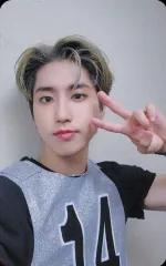 【中古】コレクションカード(男性) Stray Kids/ハン(HAN)/Blu-ray「Stray Kids 5-STAR Dome Tour 2023」『SKZ2020』『TOP -Japanese ver.-』振替イベント会場限定購入特典ランダムソロフォ