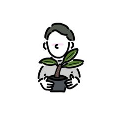 す*ー様 【数量限定】ビカクシダ胞子　56種セット 数量限定】ビカクシダ胞子 56種セット - メルカリ