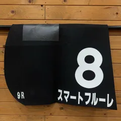 エイシン軍団　重賞勝利馬 JRA実使用ゼッケン エイシン軍団重賞勝利馬 JRA実使用ゼッケン