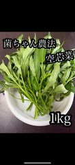 5月予約発送】茨城県産 油麦菜 1kg 水耕栽培 - メルカリ