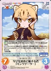 けものフレンズ TCG CHAOS カオス まとめ売り 超貴重 けものフレンズ TCG CHAOS カオス まとめ売り 超貴重 2025年最新