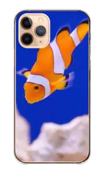 Xperia XZ1 SO-01K SOV36 701SO ケース カバー エクスペリアXZ1 スマホケース ハードケース カクレクマノミ 魚 サカナ fish 熱魚 水族館 海 金魚 かわいい おしゃれ カラー02