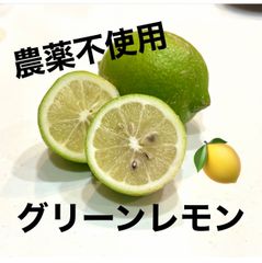 【農薬不使用】和歌山県産　レモン（グリーン、イエロー）　約1.3kg
