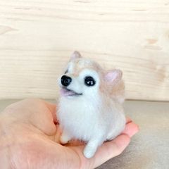 わんこ