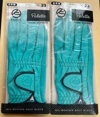 ★KASCOグローブ Palette 右手用 SIZE:23