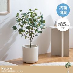 【高さ85cm】Nature 光触媒人工観葉植物 ユーカリ