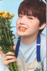 TREASURE Blooming DOYOUNG トレーディングカード