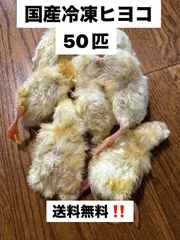 【国産】冷凍ヒヨコ 400羽　ふわふわ鮮度抜群す 国産】冷凍ヒヨコ 400羽 ふわふわ鮮度抜群！ （国産】冷凍ヒヨコ