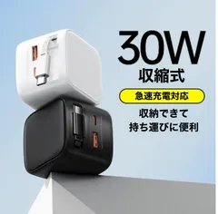 タイプCケーブル一体型充電器 自動巻き取り式 伸縮式 Type-C充電ケーブル ー体型 折りたたみ式プラグ PD30W急速充電 アダプター 旅行 出張 ホワイト ブラックiPhone16対応