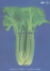 【中古】パンフレット ≪パンフレット(舞台)≫ パンフ)自転車キンクリート公演 ソープオペラ(1995年)