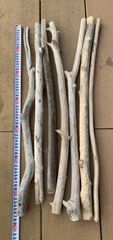 流木 約60～70cm 7本 セット カットあり