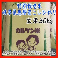 減農薬 岐阜県恵那産こしひかり カルゲン栽培 玄米30kg 特別栽培米